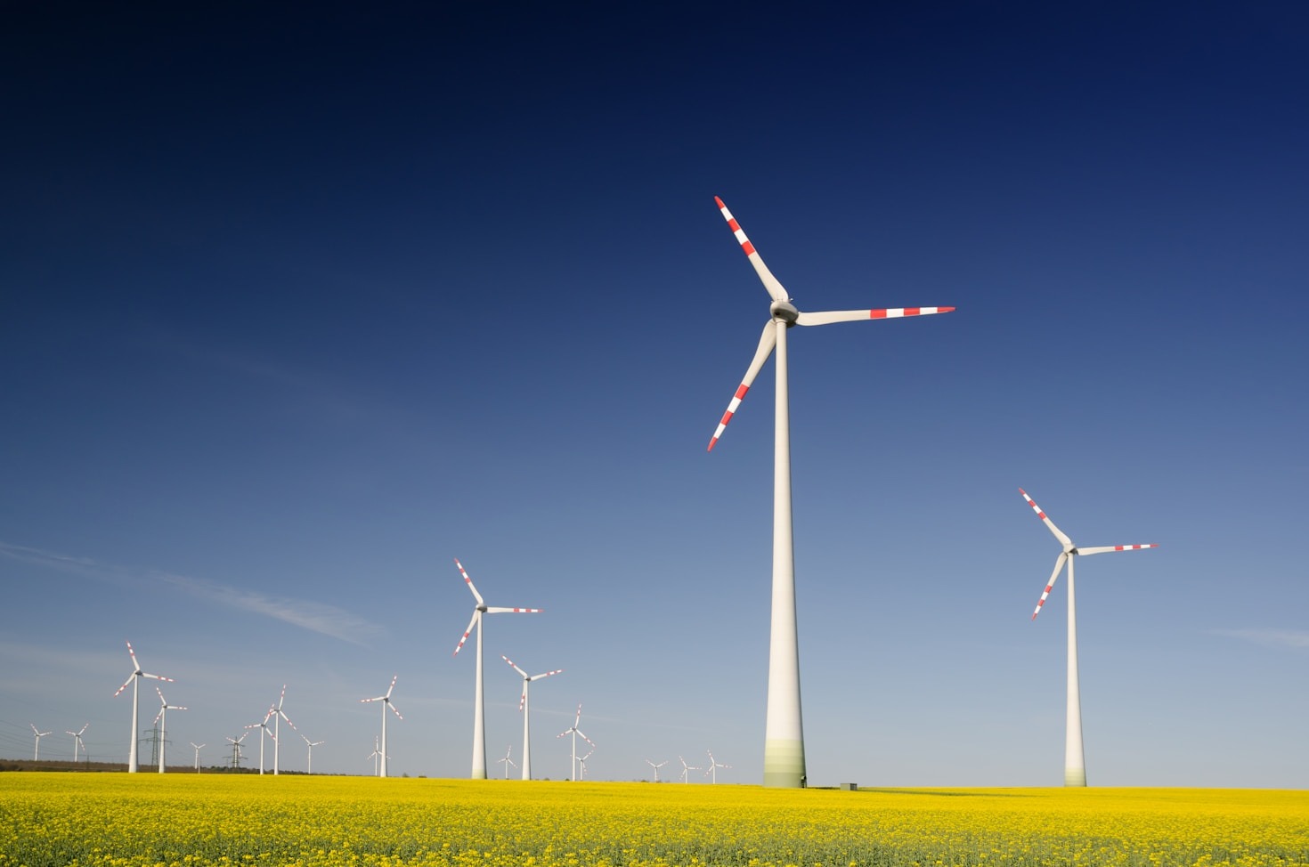 The Role of Innovation in Future-Proofing Businesses