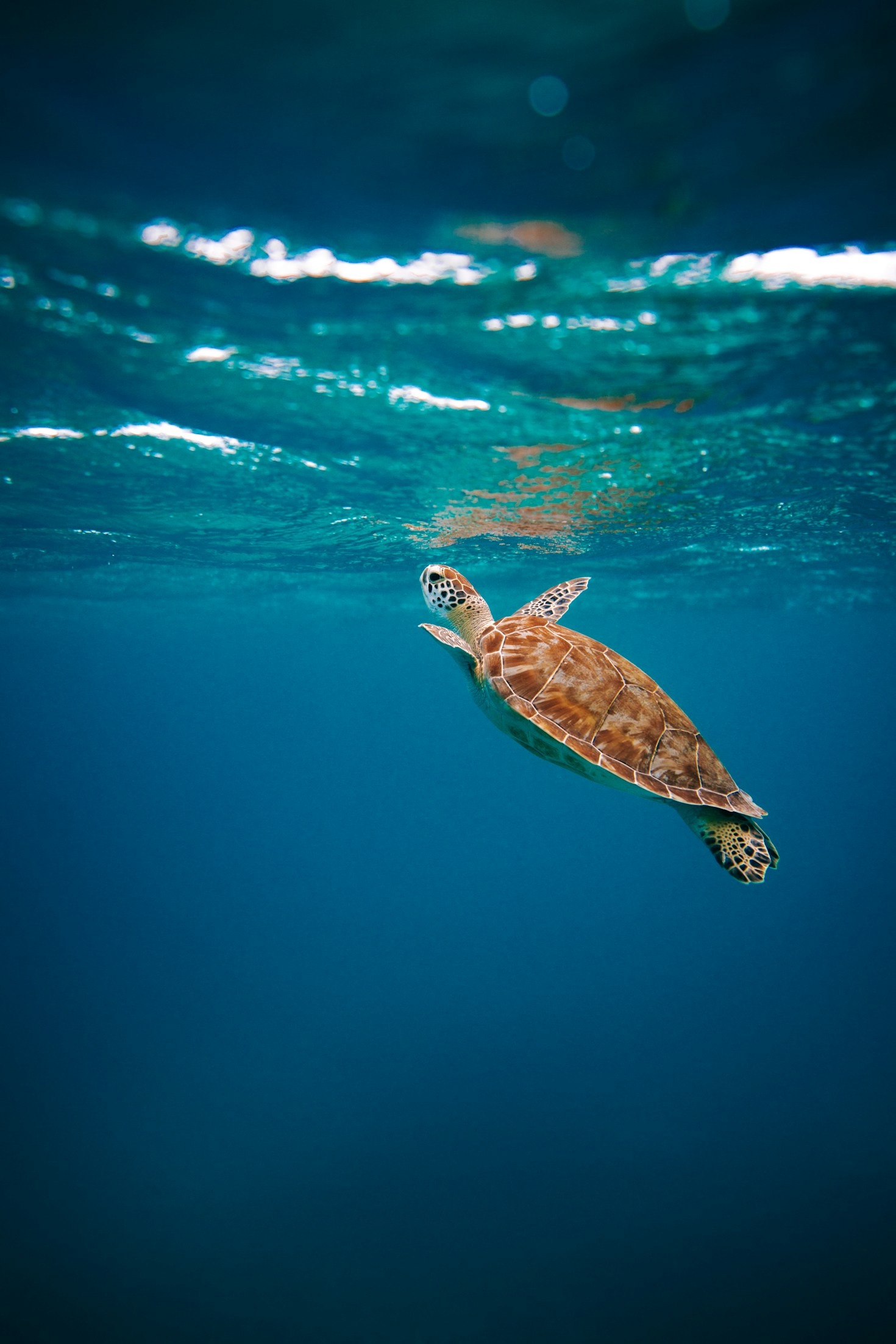 Eco-Conscious Practices That Drive Modern Success