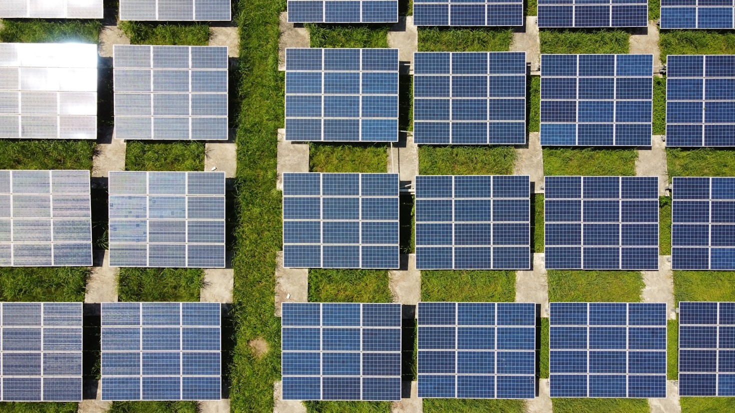 Sustainability Meets Profit: The New Business Paradigm